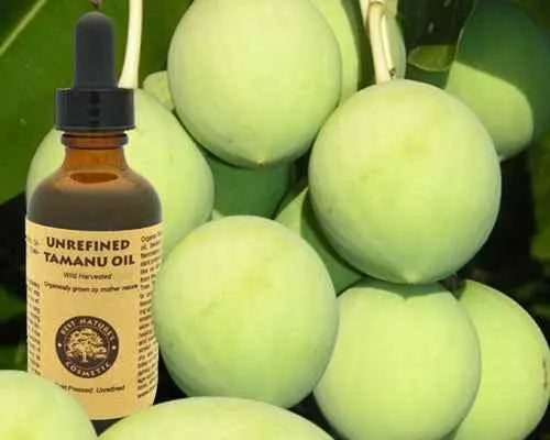 Virgin Tamanu Oil (organic, undiluted, unrefined)